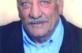 Gino Carle