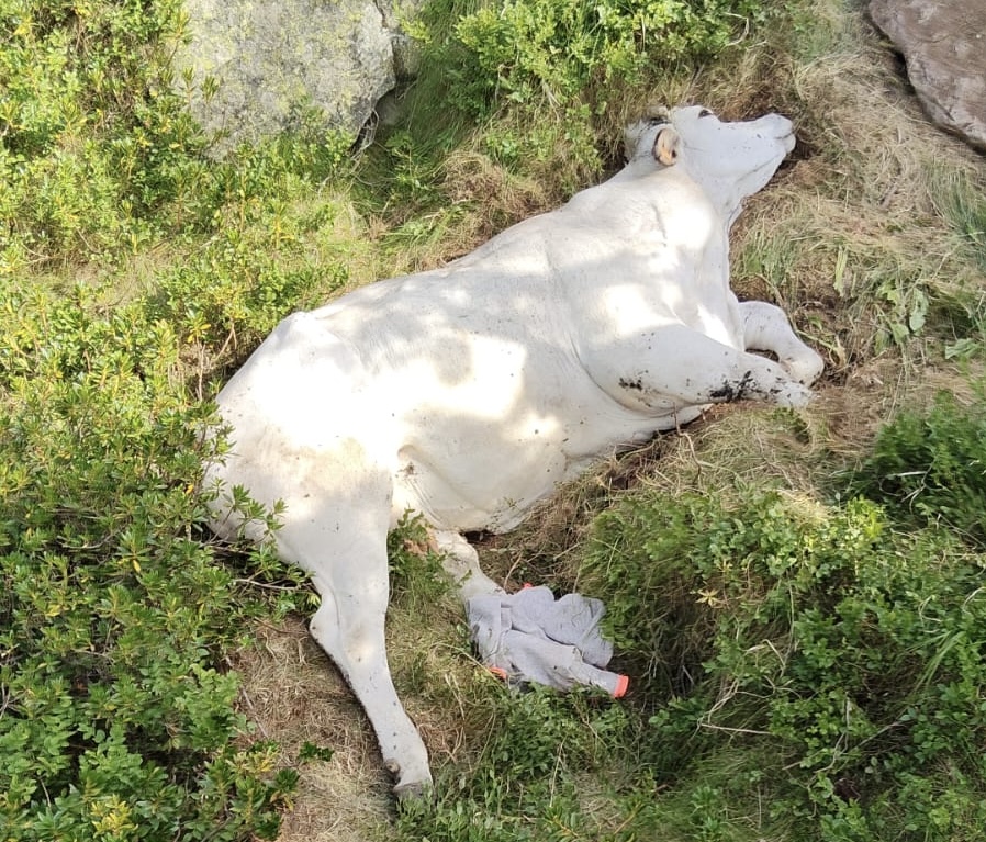 06ea3adb 5a07 45c9 a204 1698cc0051f2 1753306999944