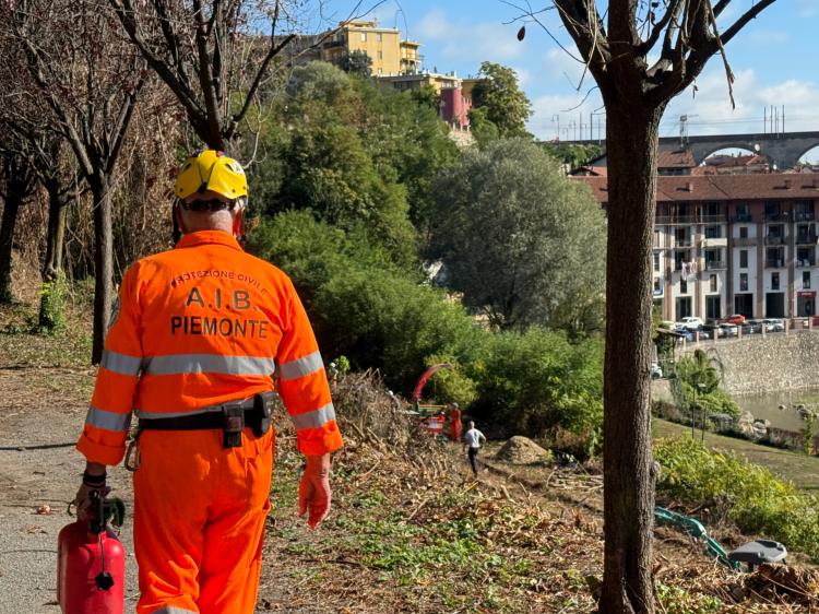 IMG 8778 1757395219881.JPG 1757740647275