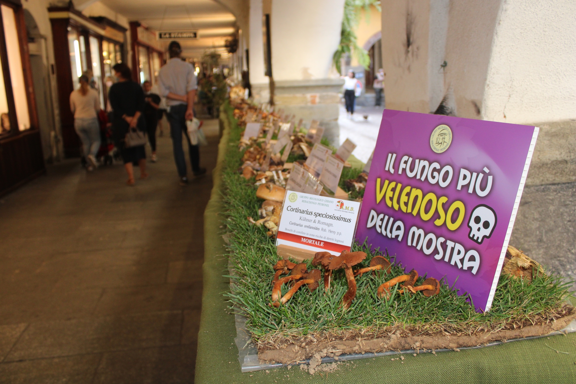 IMG 2084 1758204269819