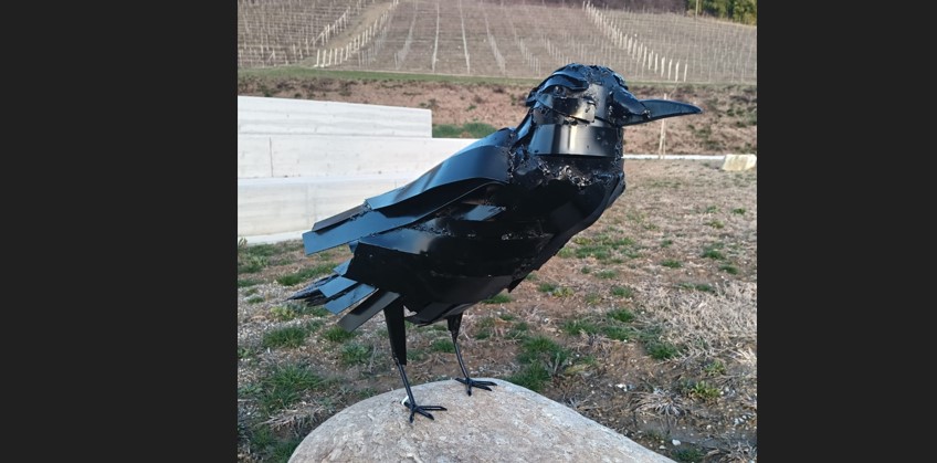 Il corvo di Andrea Bertone a Farigliano