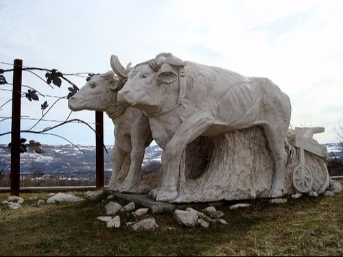 PROVINCIA GRANDA - La statua del bue a Carrù