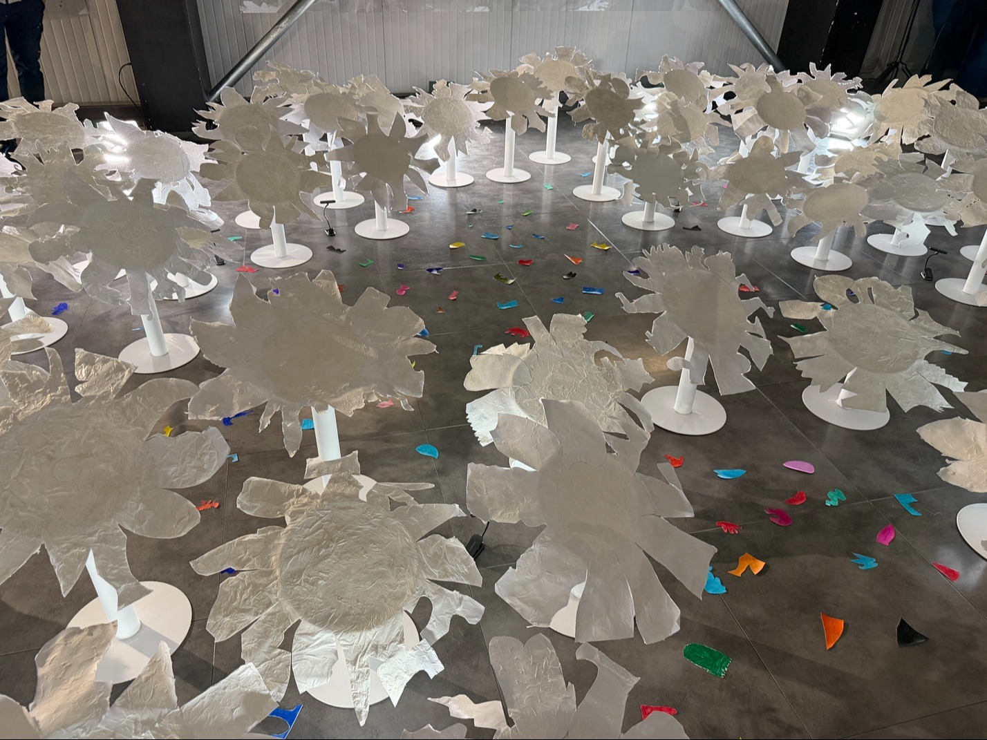 PROVINCIA GRANDA - Inaugurazione opere studenti Dogliani progetto Radis