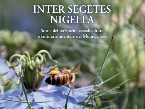 PROVINCIA GRANDA - La copertina del volume