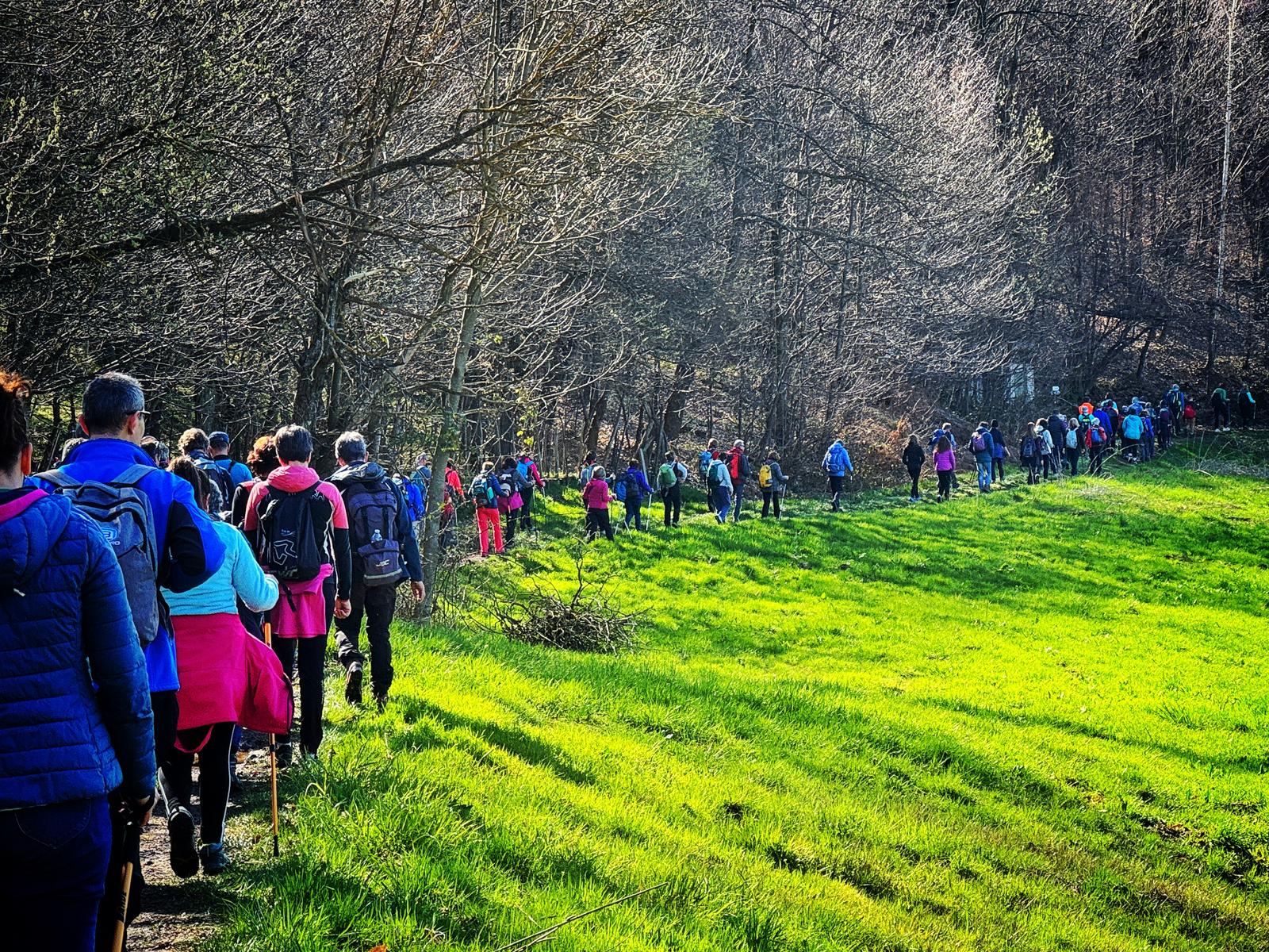 PROVINCIA GRANDA - Un precedente evento sul petalo giallo monasterolese