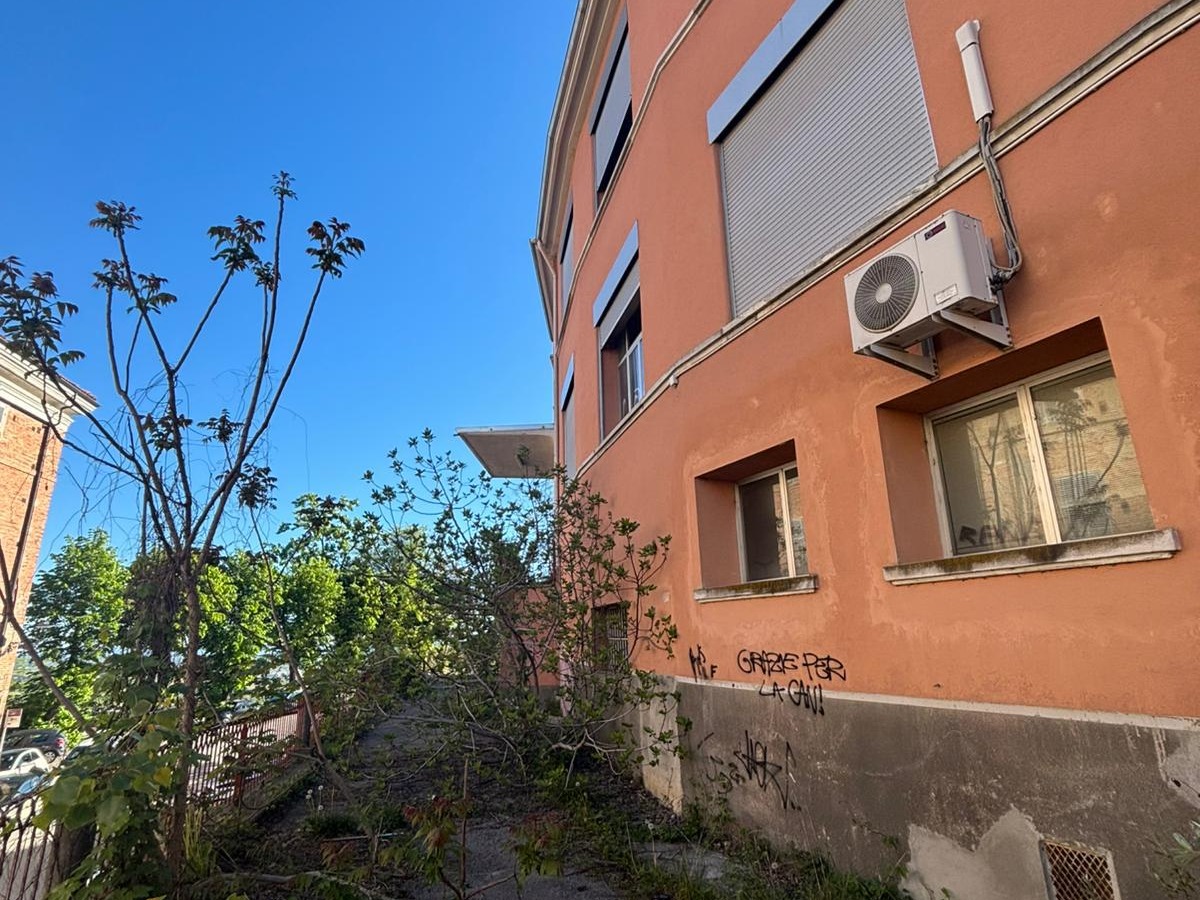 PROVINCIA GRANDA - Michelotti