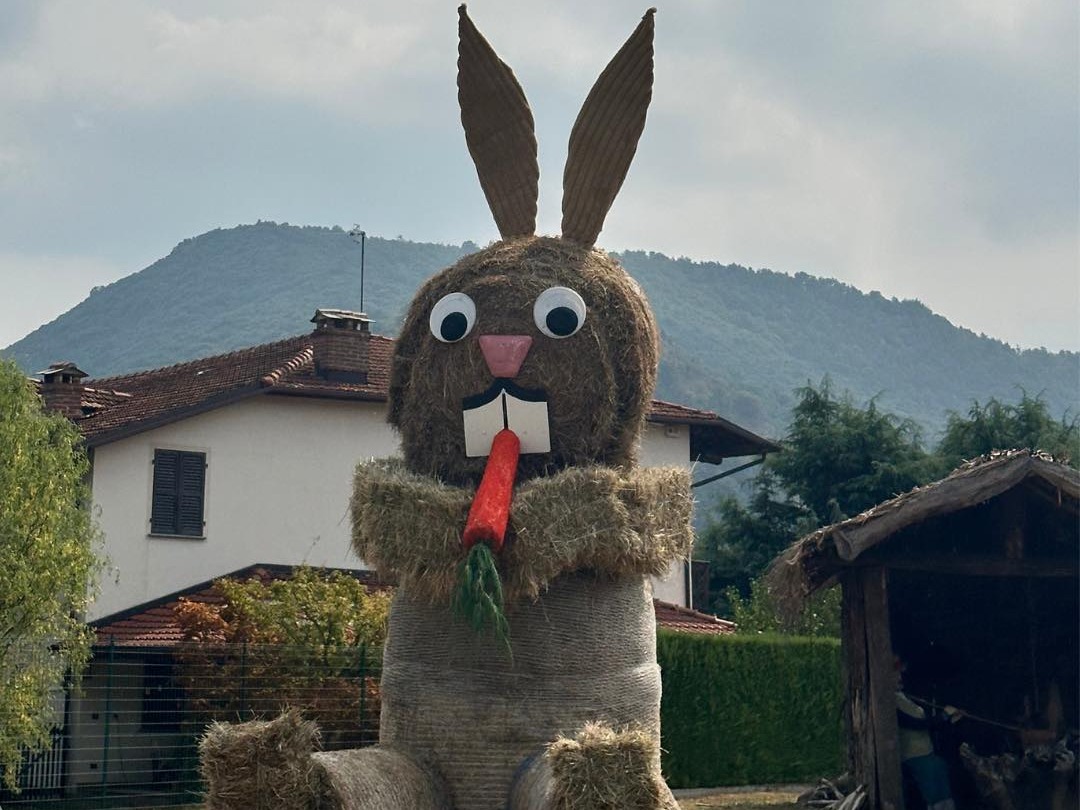 PROVINCIA GRANDA - Il coniglio gigante allestito per Ciusa Duvarta