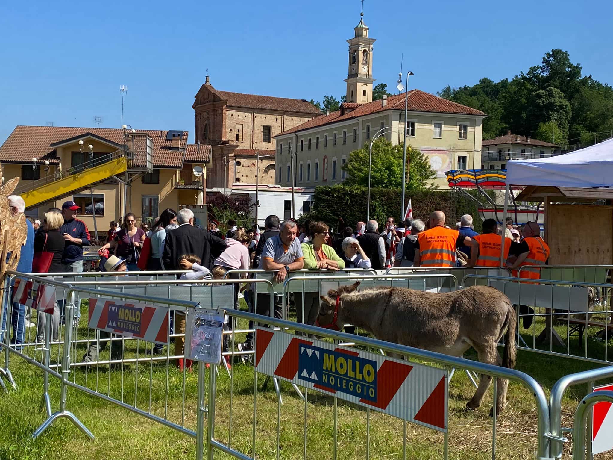 PROVINCIA GRANDA - Gli asini, protagonisti della manifestazione a Roapiana