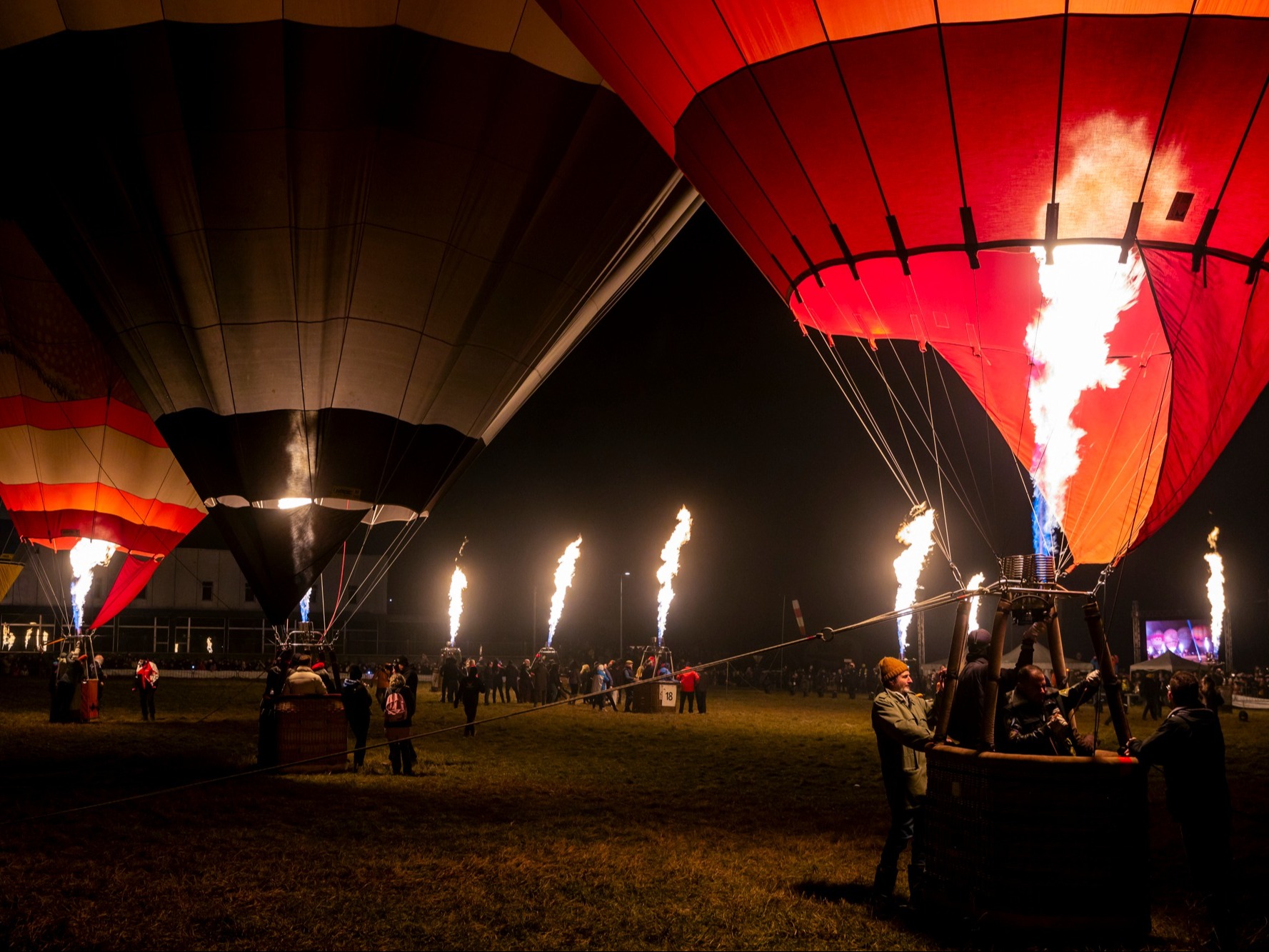 PROVINCIA GRANDA - Night Glow Mondovì
