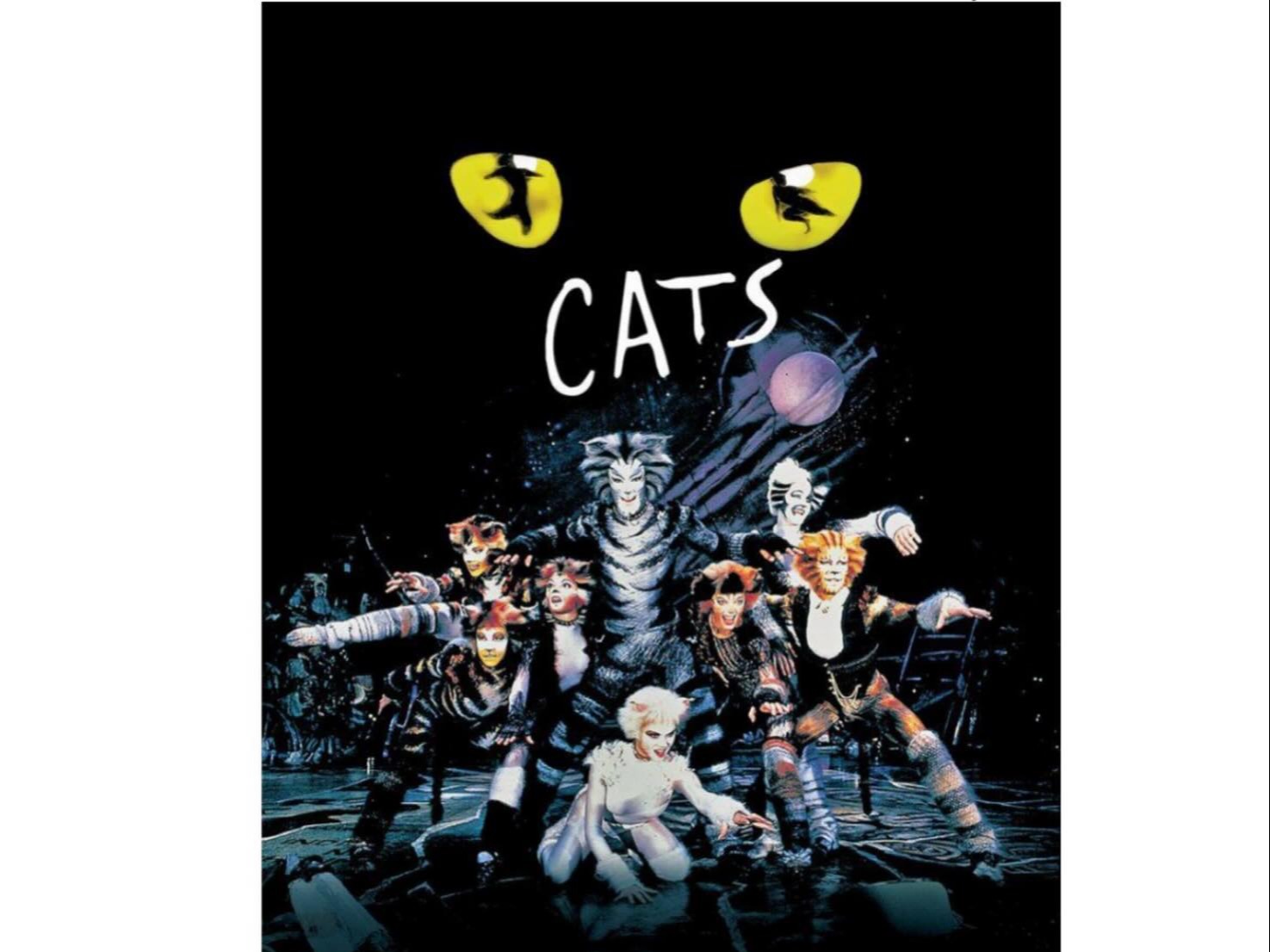 PROVINCIA GRANDA - Locandina Cats