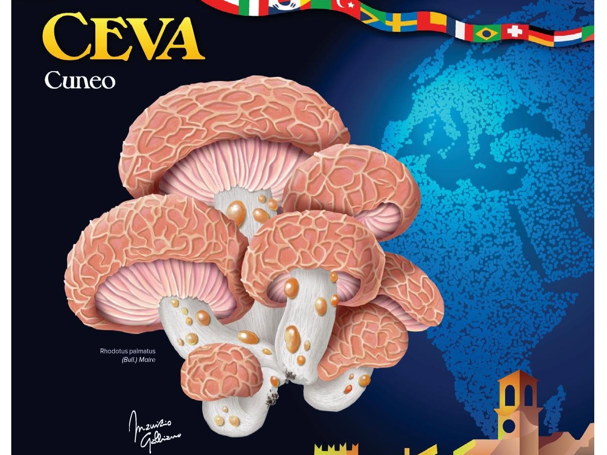 manifesto 2026 mostrafungo ceva galliano