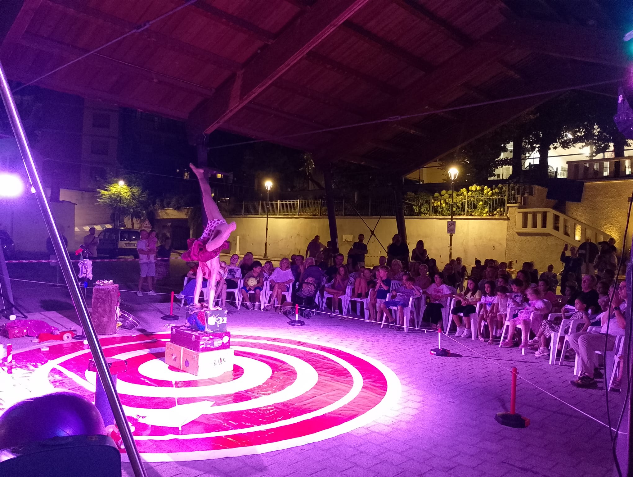 PROVINCIA GRANDA - Un momento dello spettacolo circense