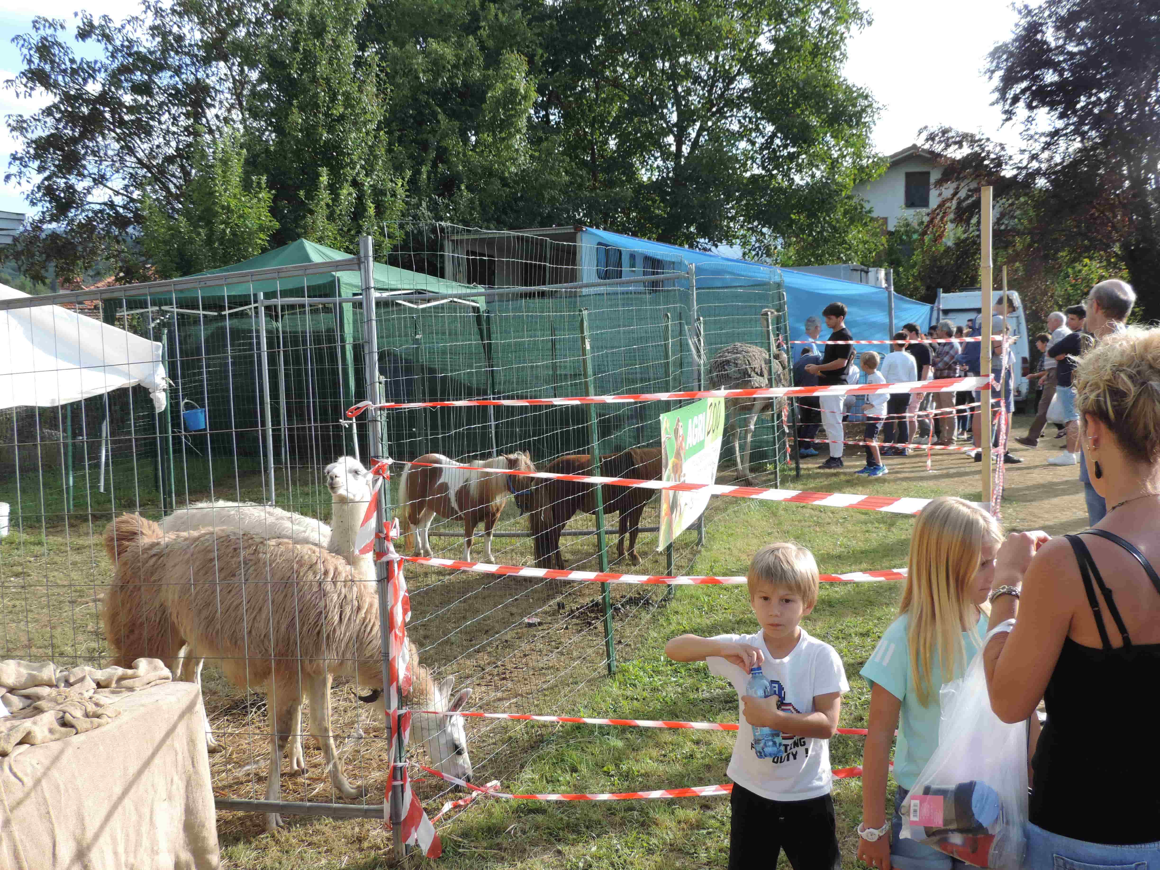 Fiera Vicoforte animali