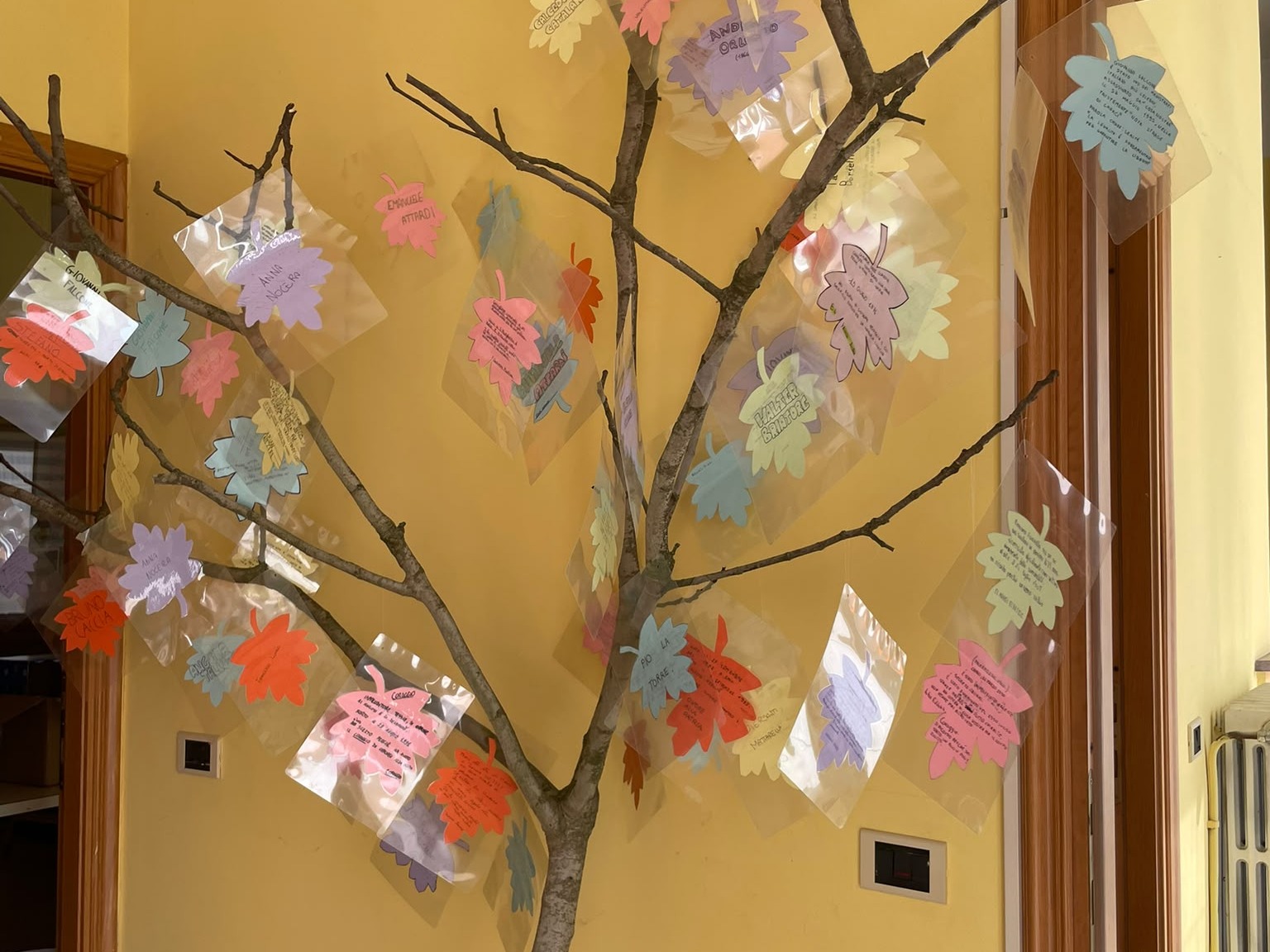 PROVINCIA GRANDA - L'albero di Falcone con le storie preparate dai ragazzi