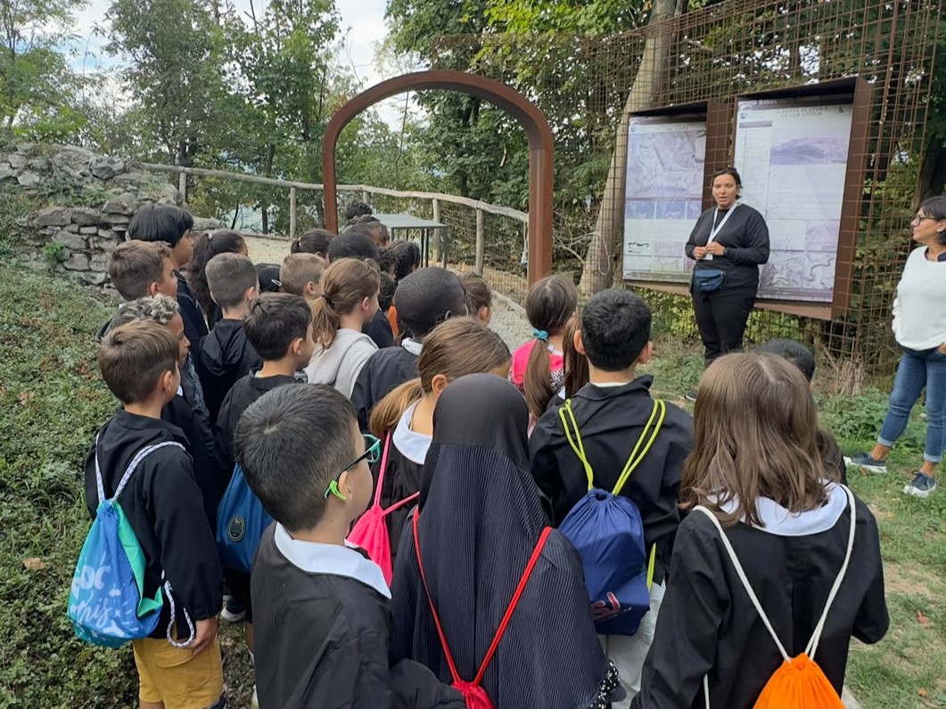 Ceva scuole mostra fungo