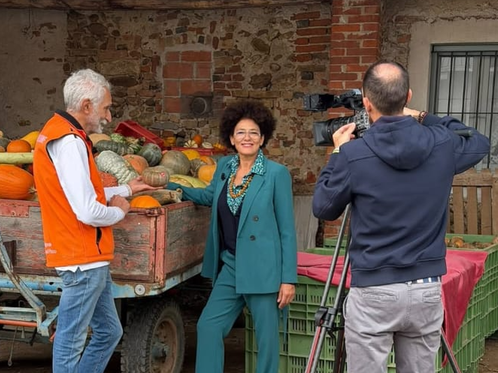 zucca piozzo rai3