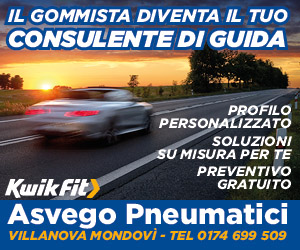 11 Asvego Pneumatici