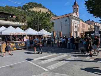 Ceba Basket Mostra Fungo