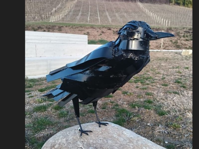 Il corvo di Andrea Bertone a Farigliano