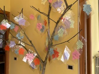 PROVINCIA GRANDA - L'albero di Falcone con le storie preparate dai ragazzi