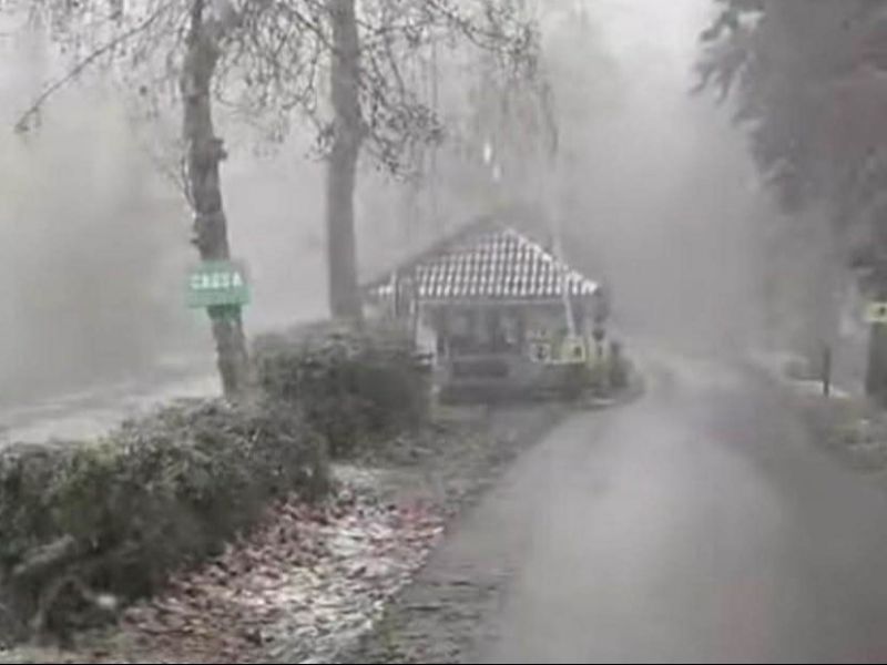 PROVINCIA GRANDA - Neve al Parco Safari di Murazzano