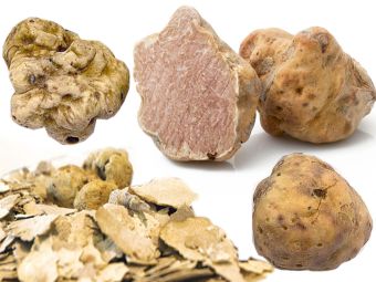 PROVINCIA GRANDA - Il tartufo bianco pregiato di Briaglia