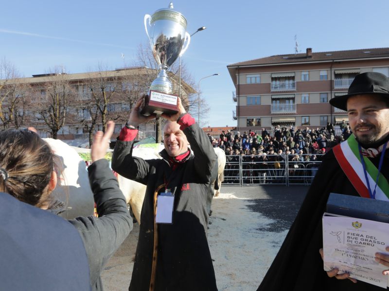 La premiazione di Carmelo, miglior bue grasso nostrano di Andrea Migliore di Caraglio, alla Fiera del Bue Grasso 2025 Carrù
