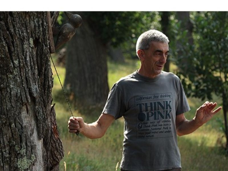 ettore bozzolo innesti