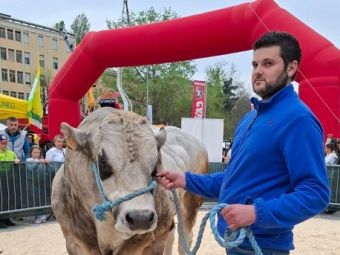 PROVINCIA GRANDA - Vincitori Prima Vera Piemontese Anaborapi Carrù Fiera di Primavera Mondovì 2026