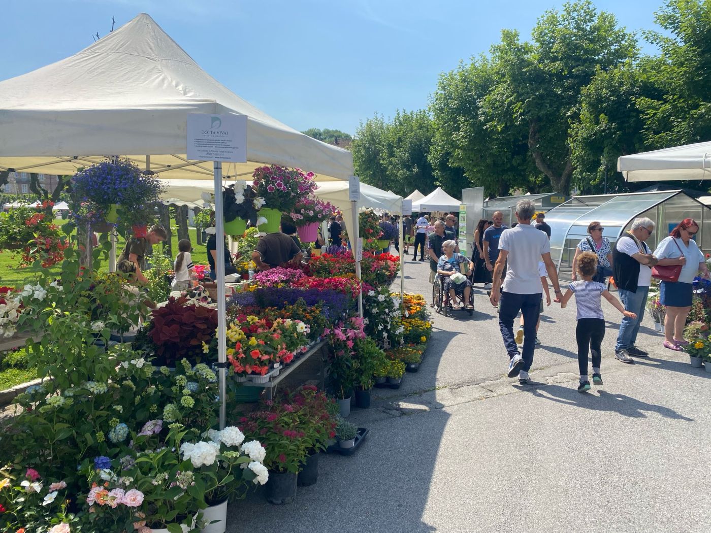 PROVINCIA GRANDA - Le bancarelle davanti alla Palazzata al Santuario