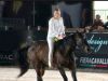 PROVINCIA GRANDA - Horsemanship