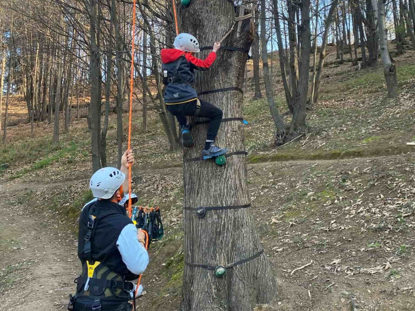 PROVINCIA GRANDA - Un'attività di tree climbing al Bosco delle scoperte
