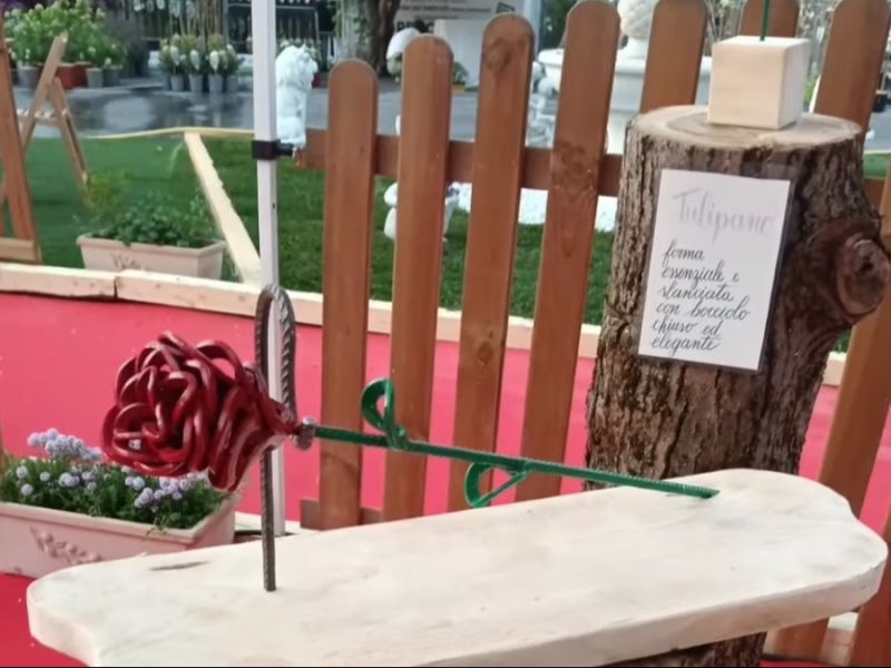 PROVINCIA GRANDA - Fiori di ferro Andrea Bertone Fiera di Primavera 2026