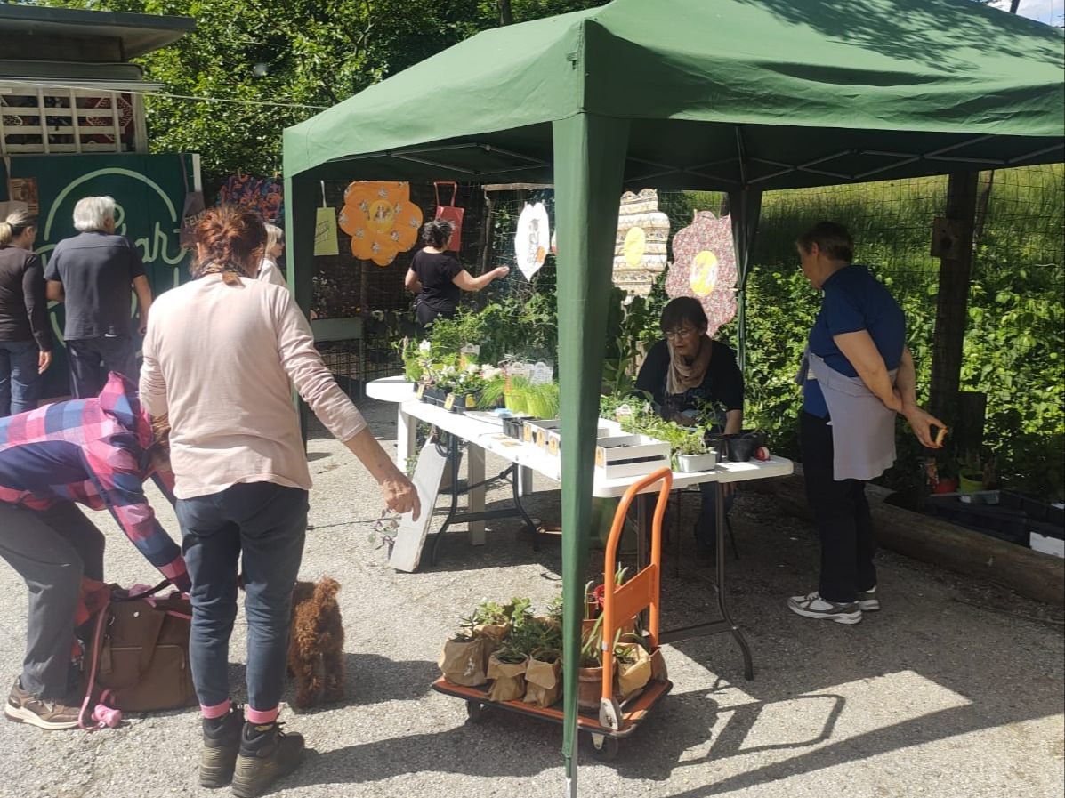 PROVINCIA GRANDA - Una delle bancarelle presenti nel mercatino