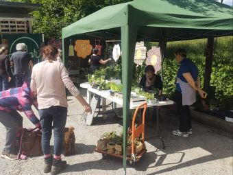PROVINCIA GRANDA - Una delle bancarelle presenti nel mercatino