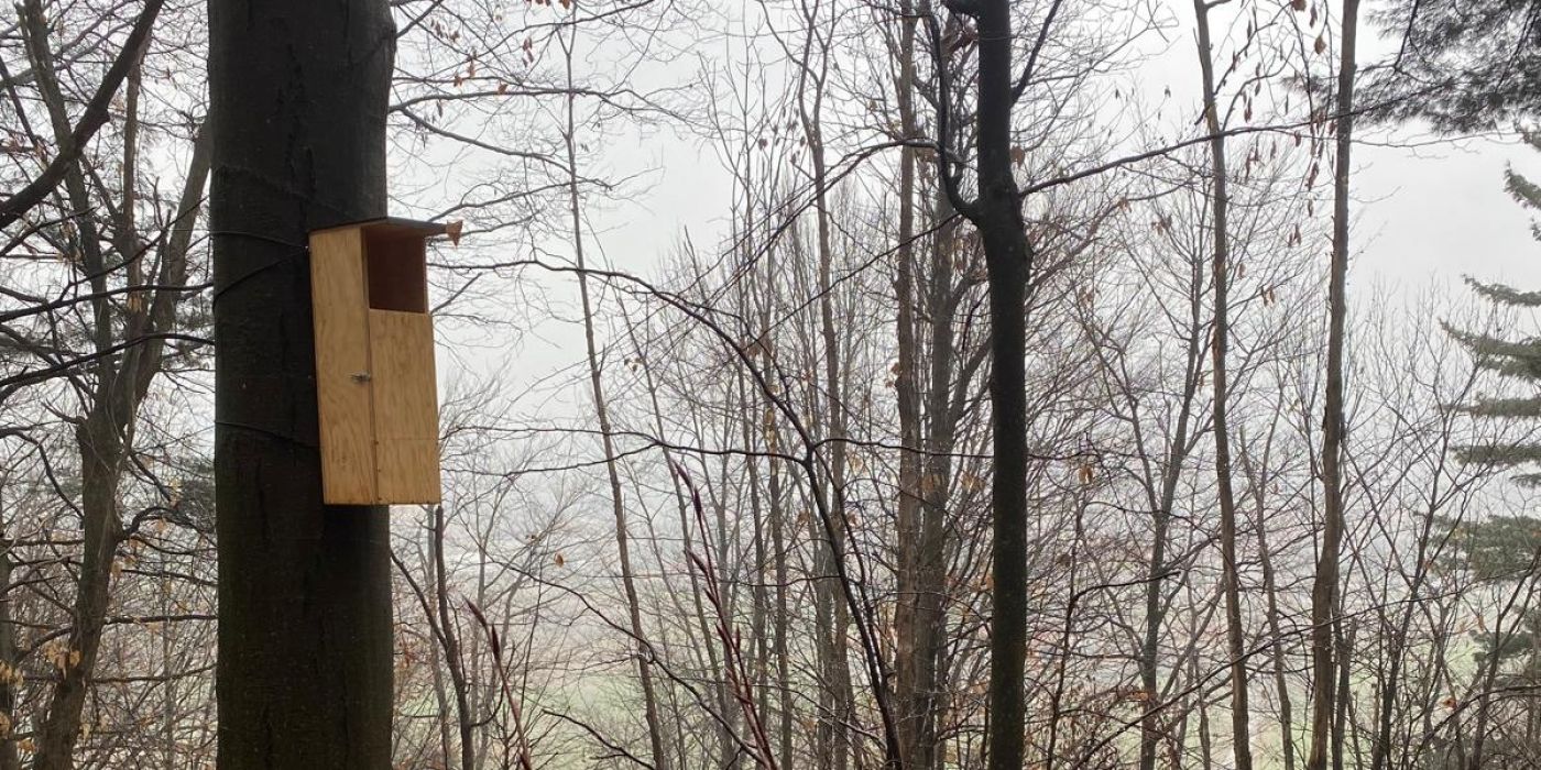 PROVINCIA GRANDA - I nuovi nidi per i gufi lungo il sentiero verso la collina di Mombrisone
