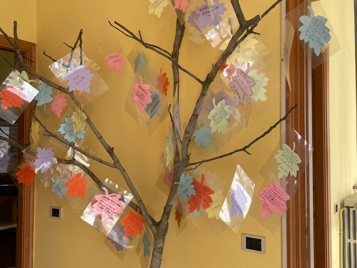 PROVINCIA GRANDA - L'albero di Falcone con le storie preparate dai ragazzi