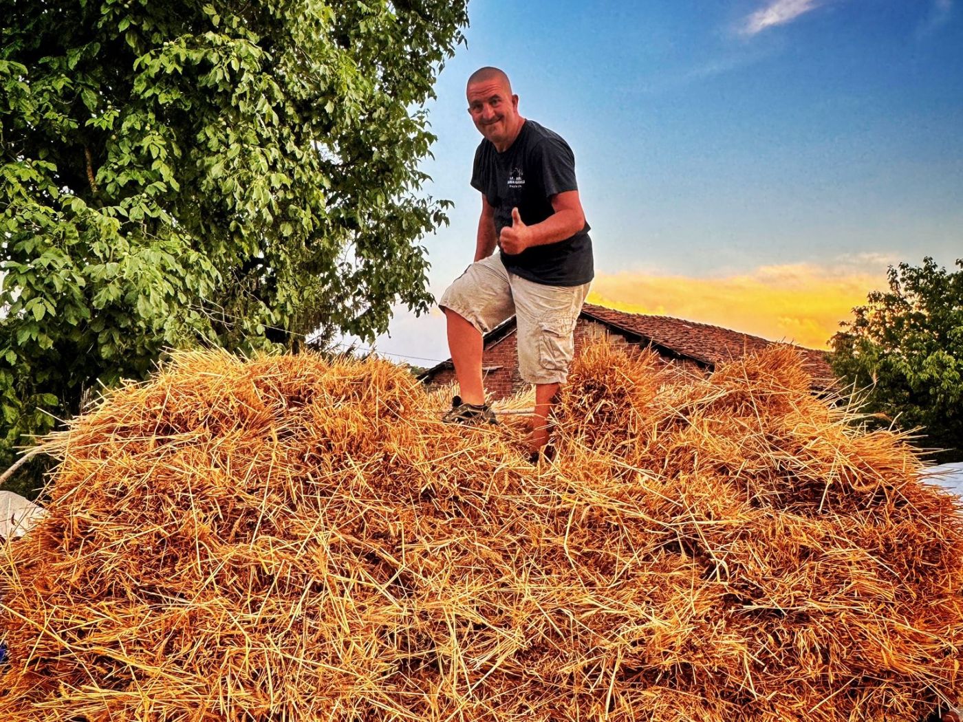 PROVINCIA GRANDA - La trebbiatura del grano a Briaglia