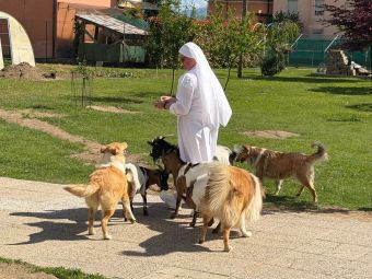 PROVINCIA GRANDA - Visita Casa di Riposo Alba Rosa Piozzo
