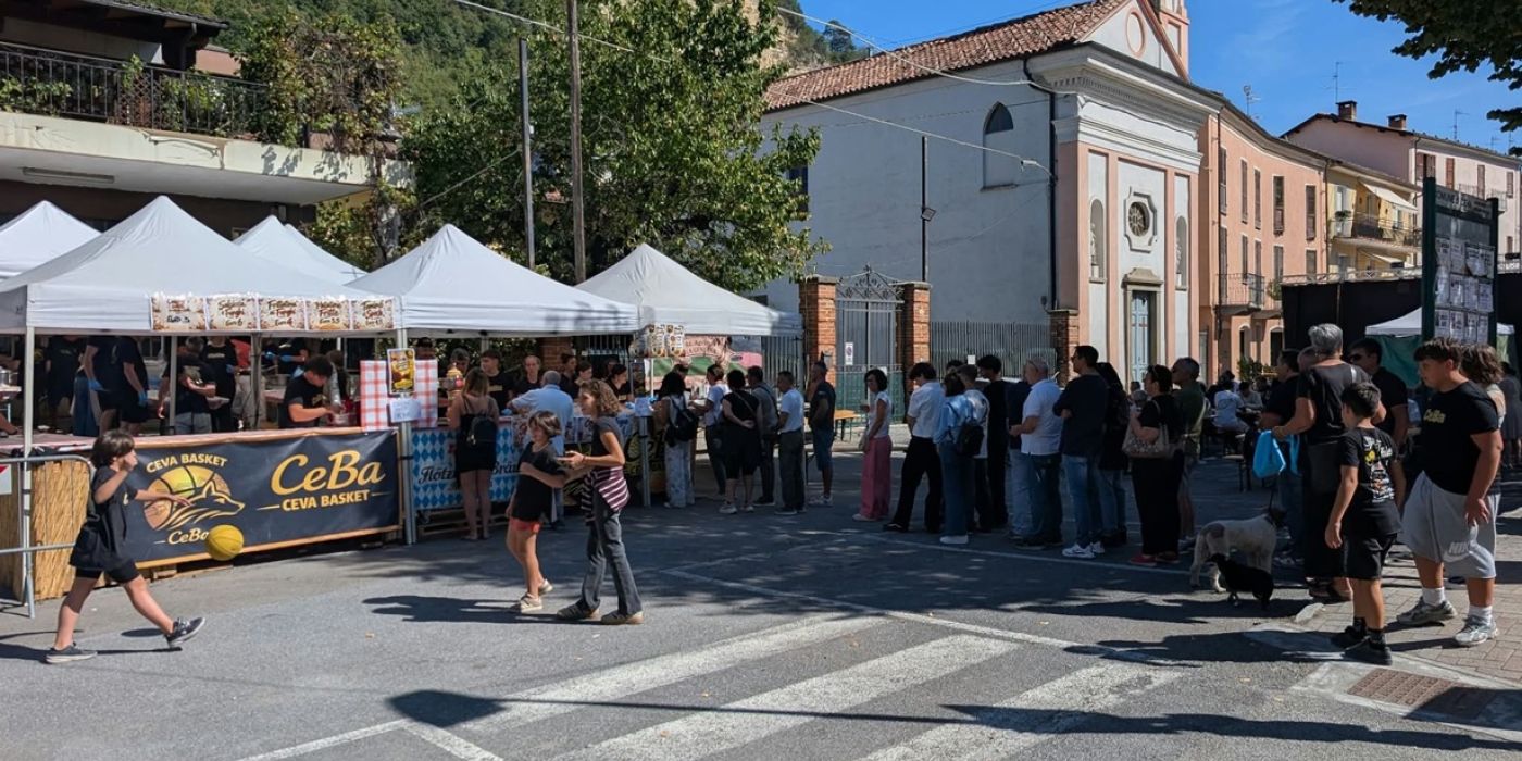 Ceba Basket Mostra Fungo