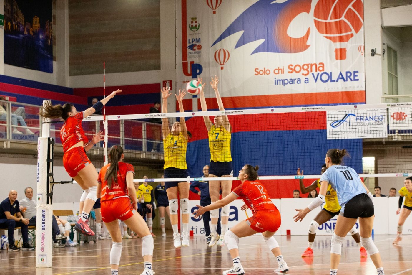 PROVINCIA GRANDA - Mondovì Volley: Alice Munari prova a sfondare il muro di Alessandria - foto Cristiano Silvestri