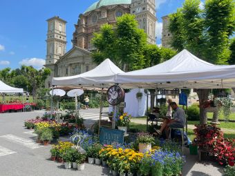PROVINCIA GRANDA - Uno dei banchetti ai piedi della Basilica del Santuario