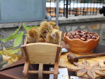 PROVINCIA GRANDA - I marroni di Chiusa Pesio