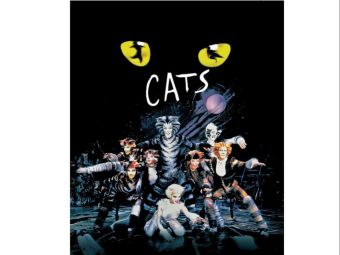PROVINCIA GRANDA - Locandina Cats