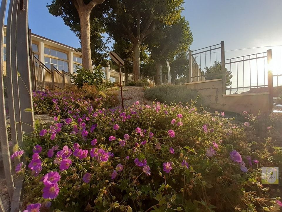 PROVINCIA GRANDA - L'aiuola botanica comunale a San Michele Mondovì
