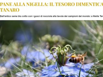 PROVINCIA GRANDA - L'articolo pubblicato online