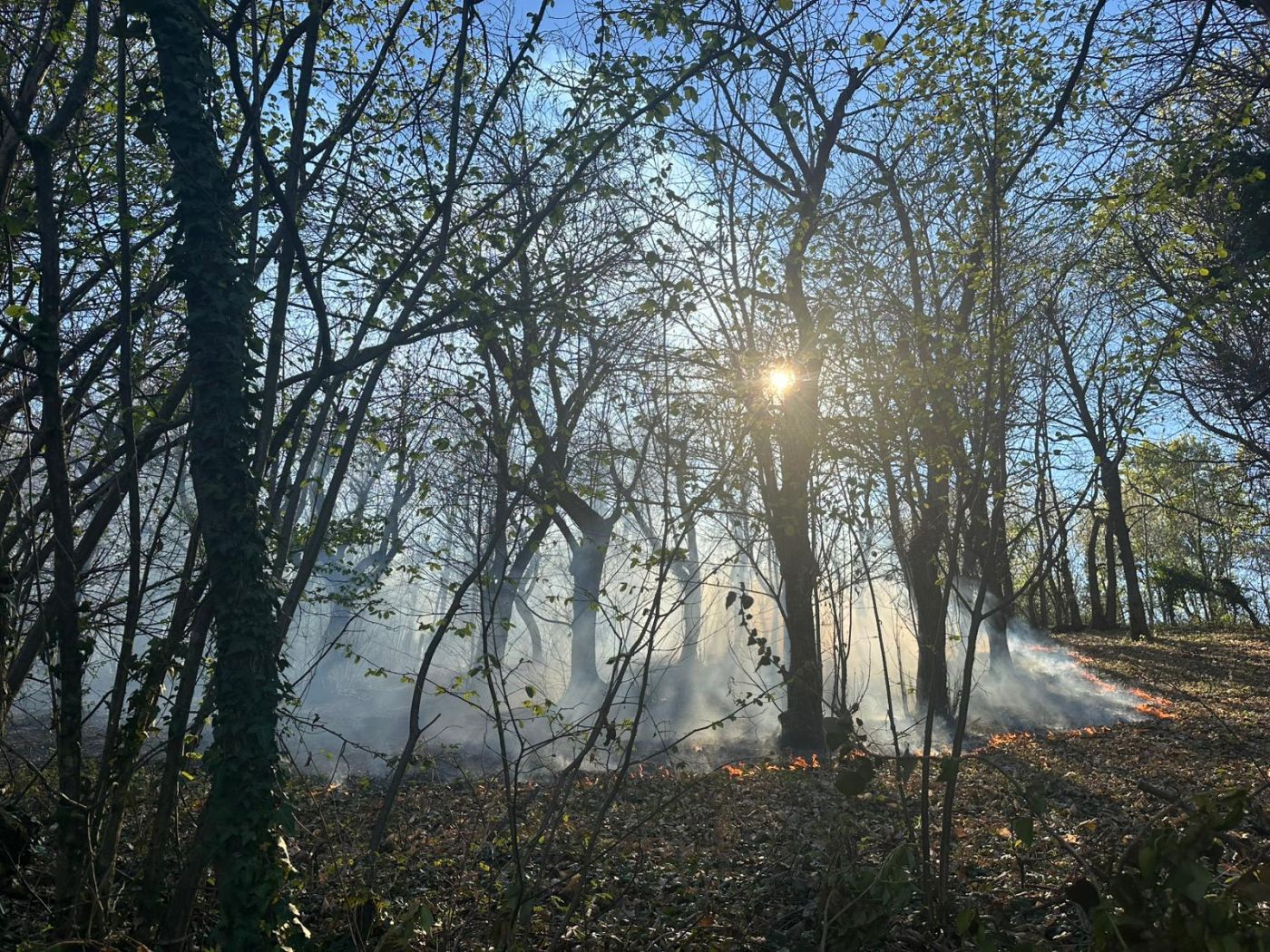 PROVINCIA GRANDA - Il rogo sviluppatosi a Chiusa Pesio
