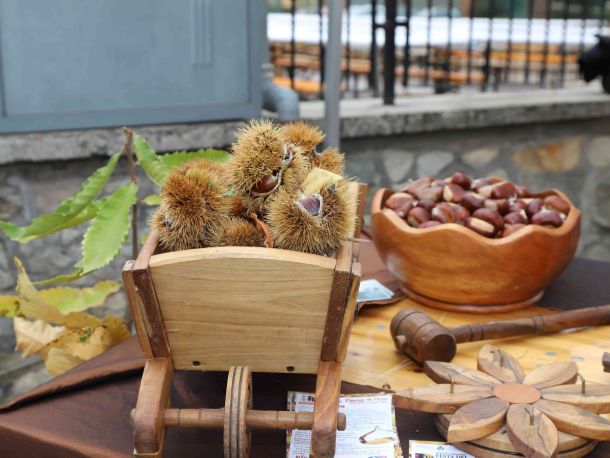 PROVINCIA GRANDA - I marroni di Chiusa Pesio