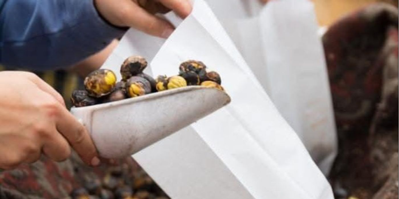 PROVINCIA GRANDA - Uno scatto della manifestazione "Castagna e coltelli"